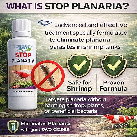 Aquatic Remedies Stop Planaria 60ml | Powerful Planaria Treatment for Shrimp Tanks | Plant & Shrimp Safe | Made in India