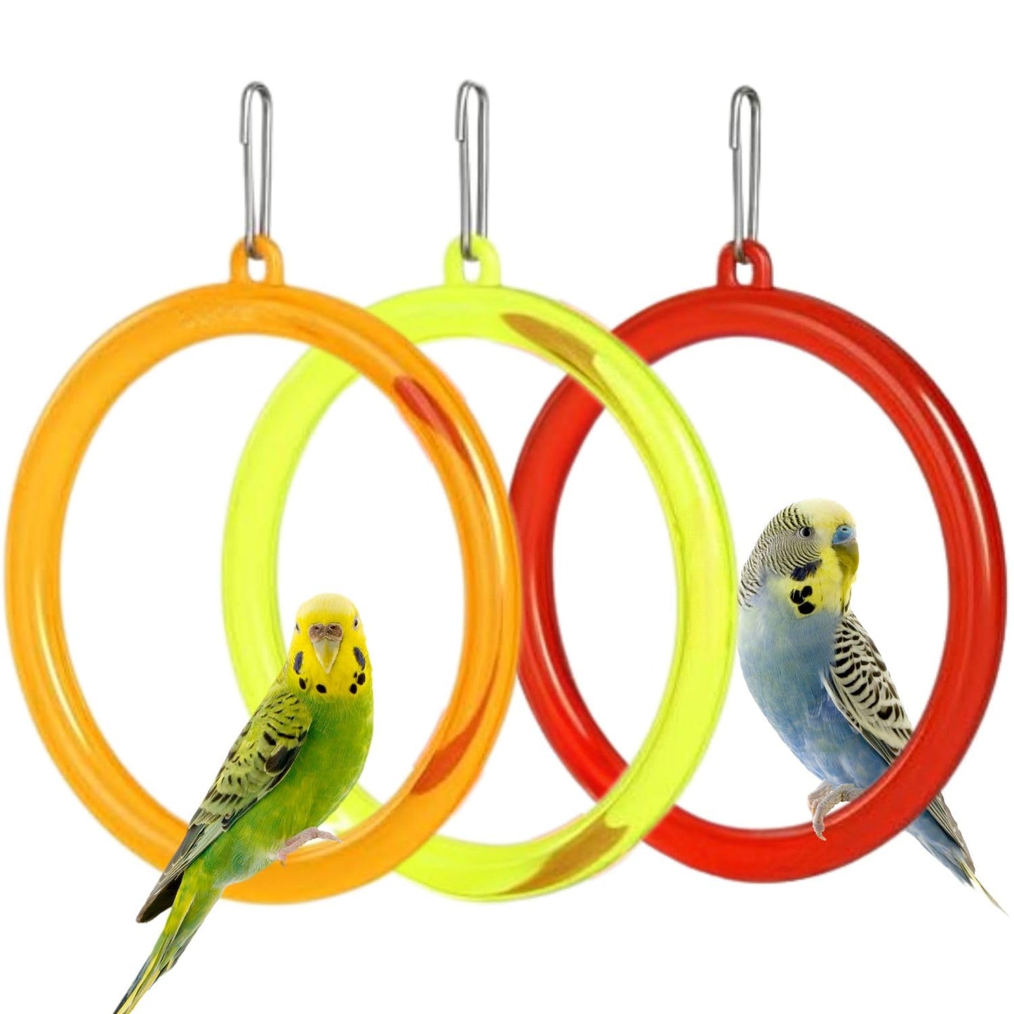 Petzlifeworld Bird Cage Swing Toy (Pack of 3) – Random Color Plastic Hanging Rings for Cockatiel, Budgie, Lovebird, Finch, Sparrow, Conure – Interactive Cage Accessories