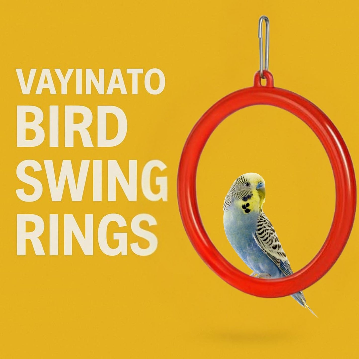 Petzlifeworld Bird Cage Swing Toy (Pack of 3) – Random Color Plastic Hanging Rings for Cockatiel, Budgie, Lovebird, Finch, Sparrow, Conure – Interactive Cage Accessories