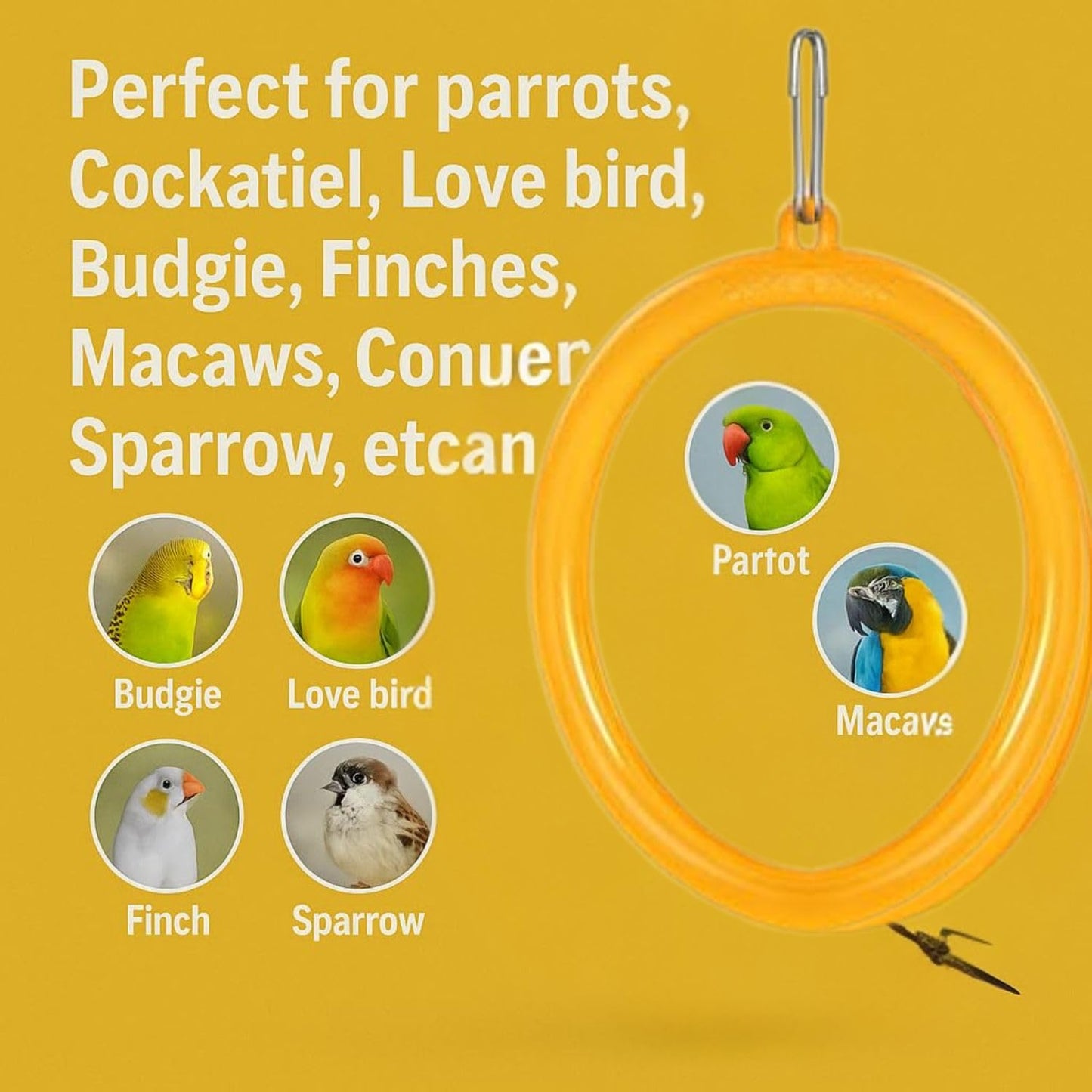 Petzlifeworld Bird Cage Swing Toy (Pack of 3) – Random Color Plastic Hanging Rings for Cockatiel, Budgie, Lovebird, Finch, Sparrow, Conure – Interactive Cage Accessories