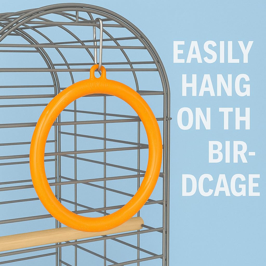Petzlifeworld Bird Cage Swing Toy (Pack of 3) – Random Color Plastic Hanging Rings for Cockatiel, Budgie, Lovebird, Finch, Sparrow, Conure – Interactive Cage Accessories