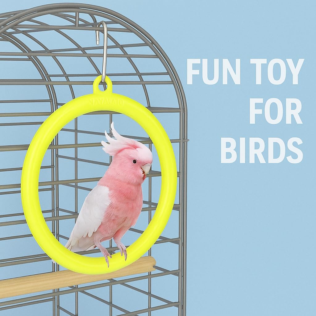Petzlifeworld Bird Cage Swing Toy (Pack of 3) – Random Color Plastic Hanging Rings for Cockatiel, Budgie, Lovebird, Finch, Sparrow, Conure – Interactive Cage Accessories