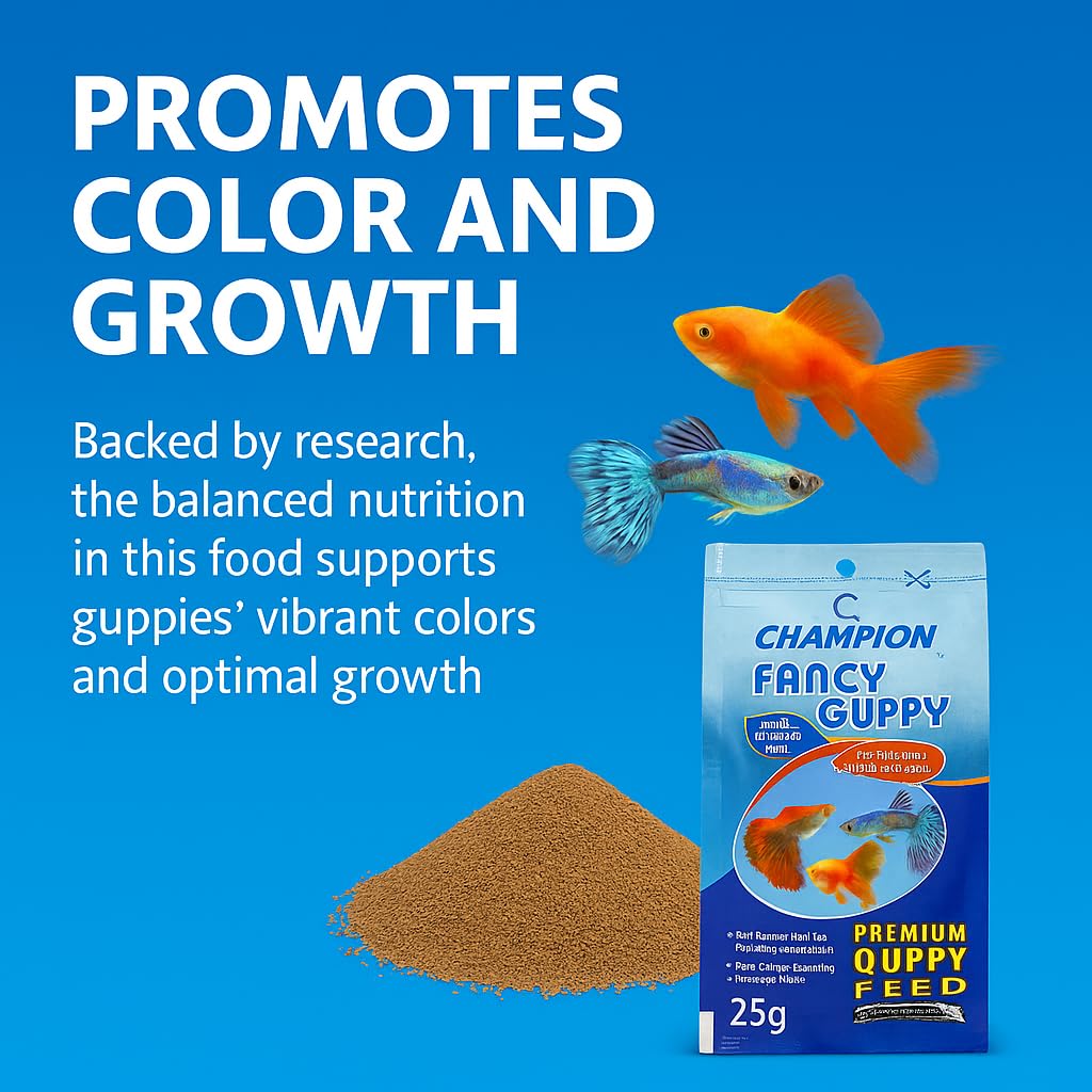 PetzLifeWorld Champion Guppy Food - 25g Pack of 3 | Premium Micropellet Fish Feed for Guppies | Semi-Floating, Protein-Rich Granules for Growth & Color