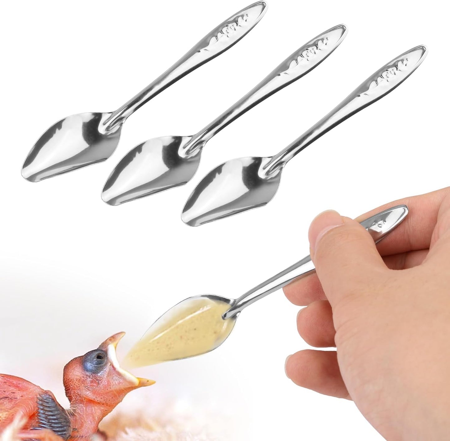 PetzLifeWorld 3PCS Stainless Steel Bird Feeding Spoons – Hand Feeding Tools for Baby Parrots, Budgies, Cockatiels | Safe, Durable, Non-Toxic | Ideal for Formula, Supplements, Meds & Daily Avian Care