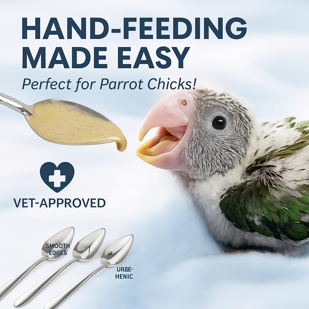 PetzLifeWorld 3PCS Stainless Steel Bird Feeding Spoons – Hand Feeding Tools for Baby Parrots, Budgies, Cockatiels | Safe, Durable, Non-Toxic | Ideal for Formula, Supplements, Meds & Daily Avian Care