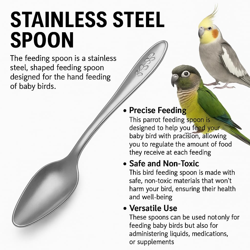 PetzLifeWorld 3PCS Stainless Steel Bird Feeding Spoons – Hand Feeding Tools for Baby Parrots, Budgies, Cockatiels | Safe, Durable, Non-Toxic | Ideal for Formula, Supplements, Meds & Daily Avian Care