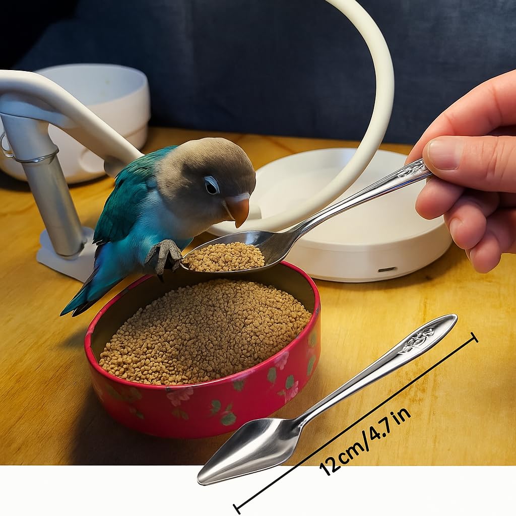 PetzLifeWorld 3PCS Stainless Steel Bird Feeding Spoons – Hand Feeding Tools for Baby Parrots, Budgies, Cockatiels | Safe, Durable, Non-Toxic | Ideal for Formula, Supplements, Meds & Daily Avian Care