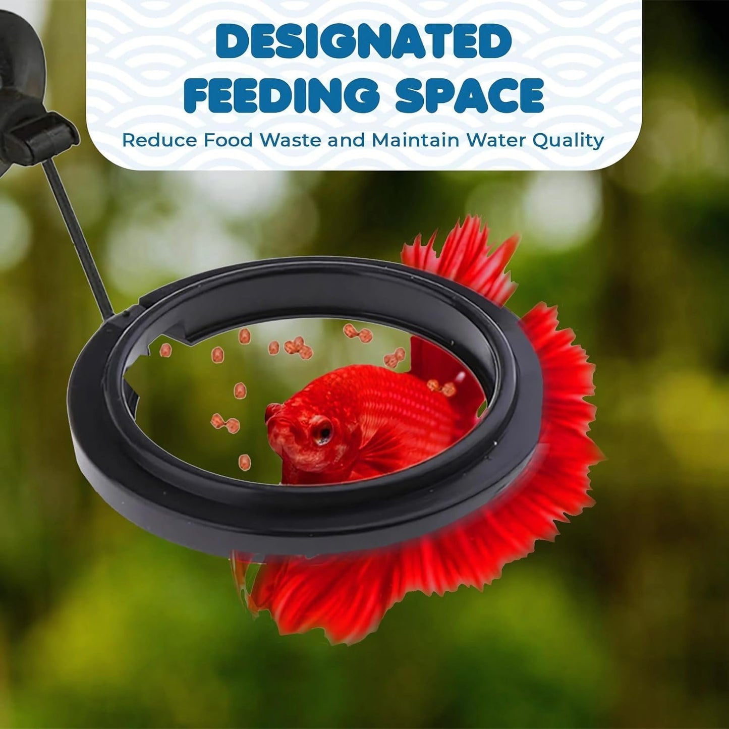 petzlifeworld 2 Pcs Fish Feeding Ring (Round, Square) Black Food Feeder with Strong Suction Cup, Reducing Waste and Maintaining Water Quality | Plastic for Guppy, Bettas, Goldfish