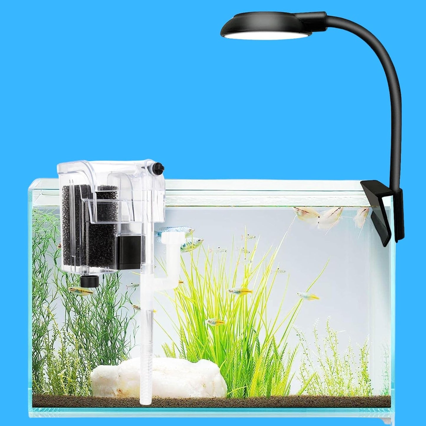 VAYINATO Nano Aquarium Combo – Clip-On LED Light & Hang-On Back Filter for Small Fish Tanks – Ideal for Betta, Shrimp & Planted Nano Aquariums and Bowl (Up to 20L)- (Tank Not Included)