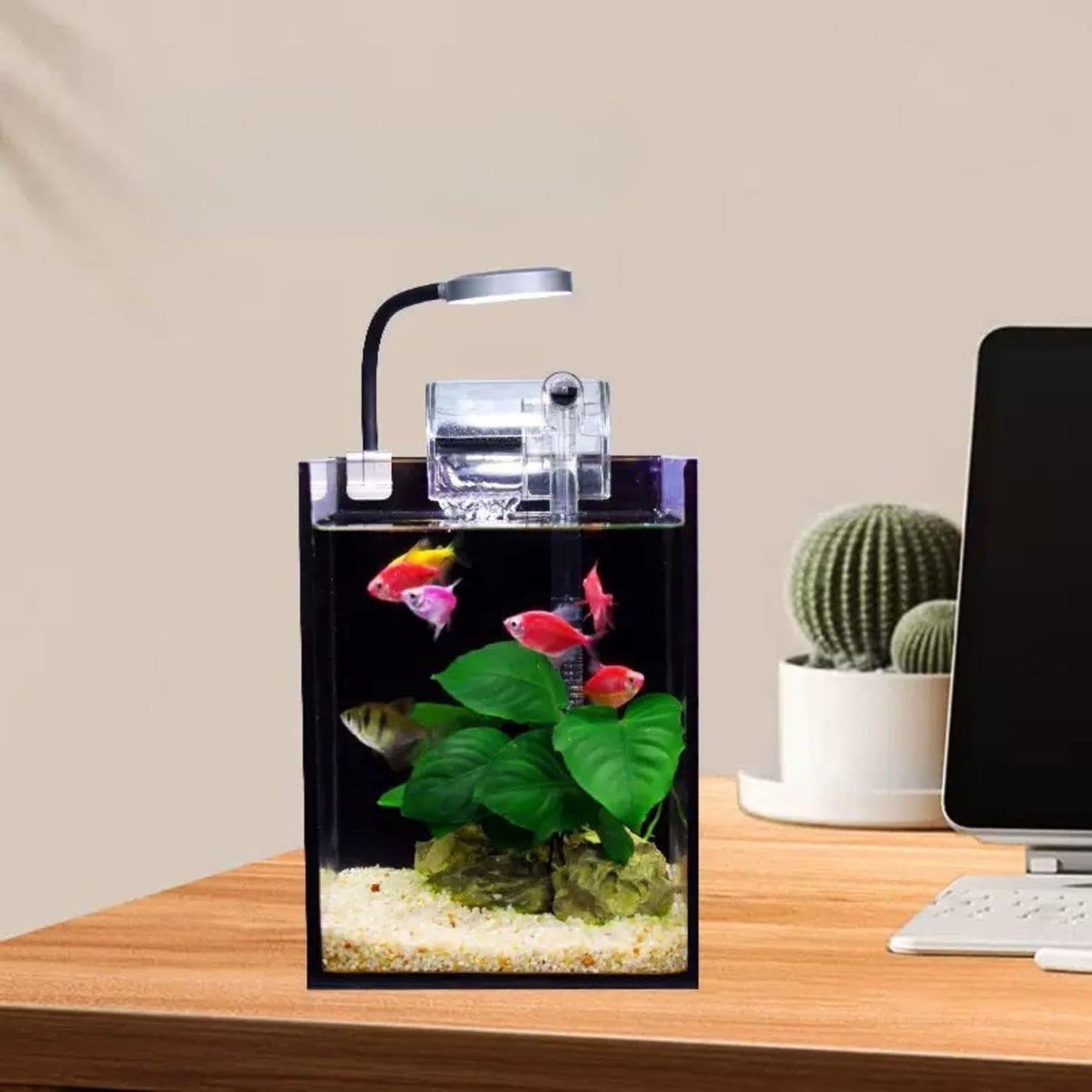 VAYINATO Nano Aquarium Combo – Clip-On LED Light & Hang-On Back Filter for Small Fish Tanks – Ideal for Betta, Shrimp & Planted Nano Aquariums and Bowl (Up to 20L)- (Tank Not Included)