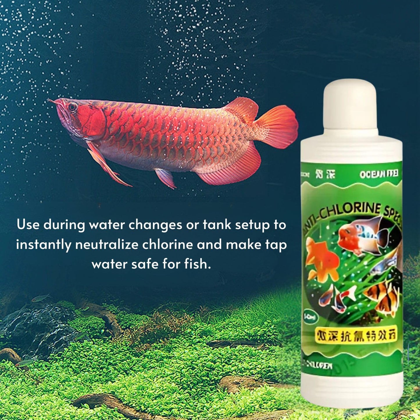 Ocean Free 240Ml Anti-Chlorine Aquarium Water Conditioner – Instantly Removes Chlorine & Chloramine | Safe for Fish, Shrimp & Plants | Freshwater & Saltwater Use