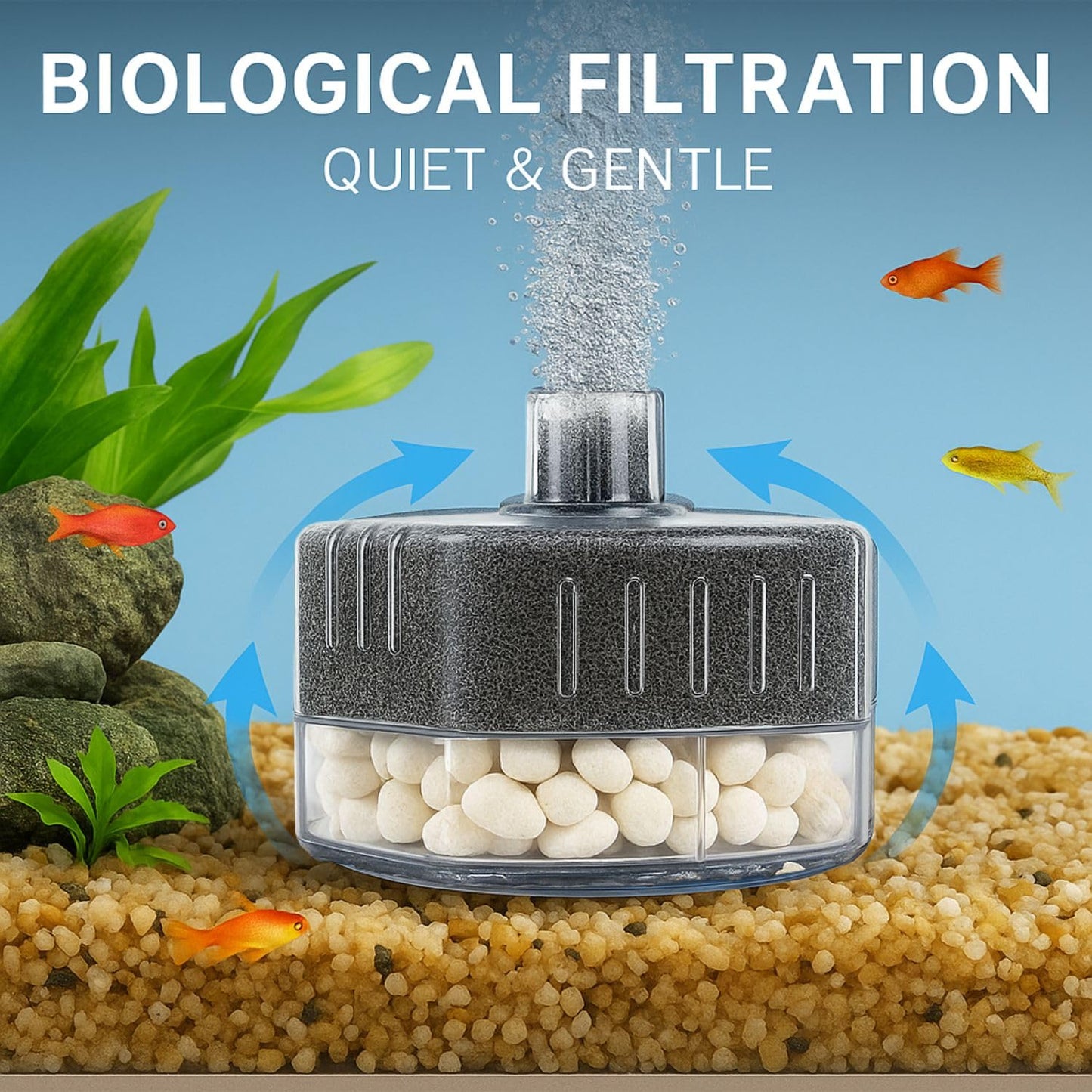 PetzLifeWorld Aquarium Sponge Filter BL - SERIES with 2M Airline Tube | Air-Powered Oxygen Bubble Filter for Small Fish, Betta, Shrimp Tanks | Biological Filtration | Quiet & Gentle | Air Pump Not Included