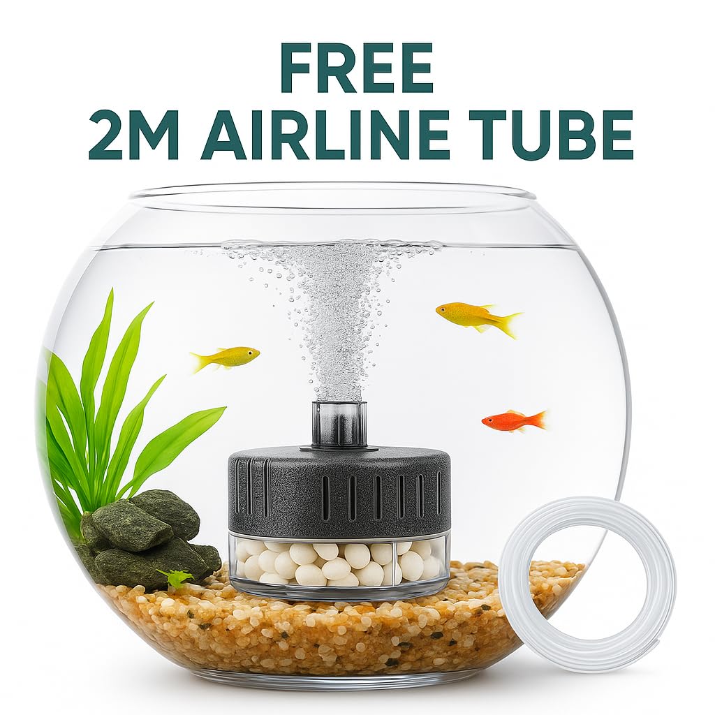 PetzLifeWorld Aquarium Sponge Filter BL - SERIES with 2M Airline Tube | Air-Powered Oxygen Bubble Filter for Small Fish, Betta, Shrimp Tanks | Biological Filtration | Quiet & Gentle | Air Pump Not Included