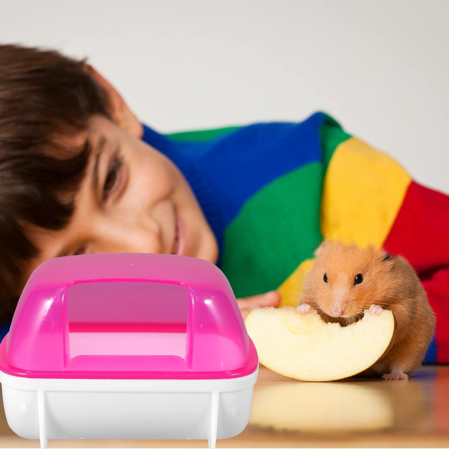 Petzlifeworld Mini Hamster Sand Bath Container (Random Color) – Transparent PC Hamster Bathtub