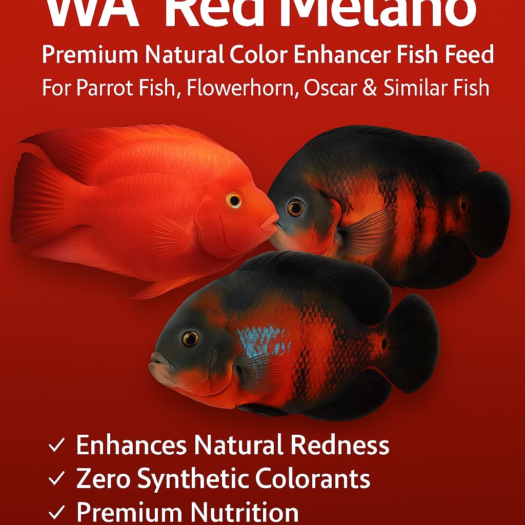 WA Red Melano Red Color Enhancing Feed For Fish Food