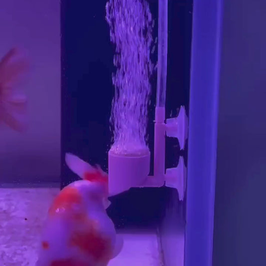 VAYINATO Aquarium White Nano Bubble Air Disc , Airstone For Aquairum Fish Tank With Airtube + Checkvalve