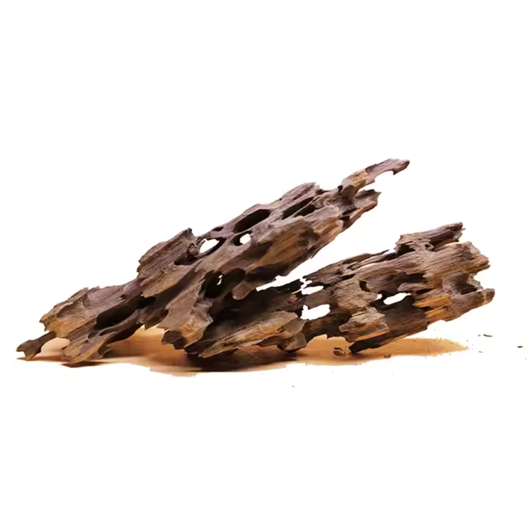VAYINATO Aquarium Hardscape Shrimp Wood - 1 Pcs - ( 10-15 Cm )
