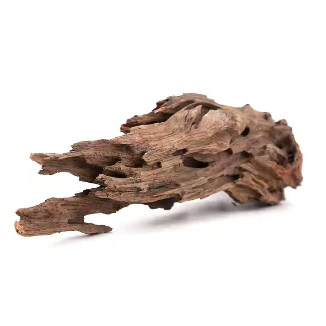 VAYINATO Aquarium Hardscape Shrimp Wood - 1 Pcs - ( 10-15 Cm )