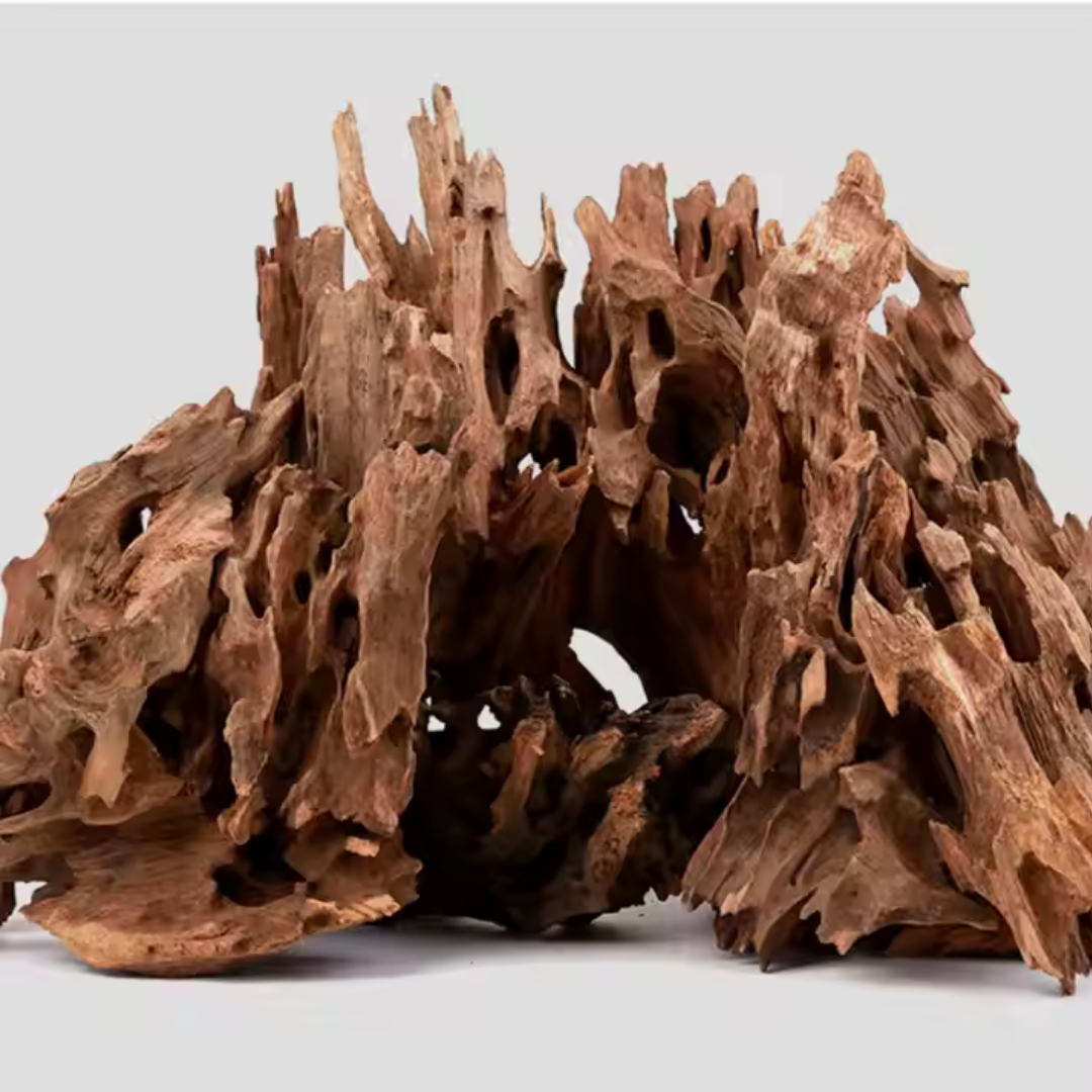 VAYINATO Aquarium Hardscape Shrimp Wood - 1 Pcs - ( 10-15 Cm )