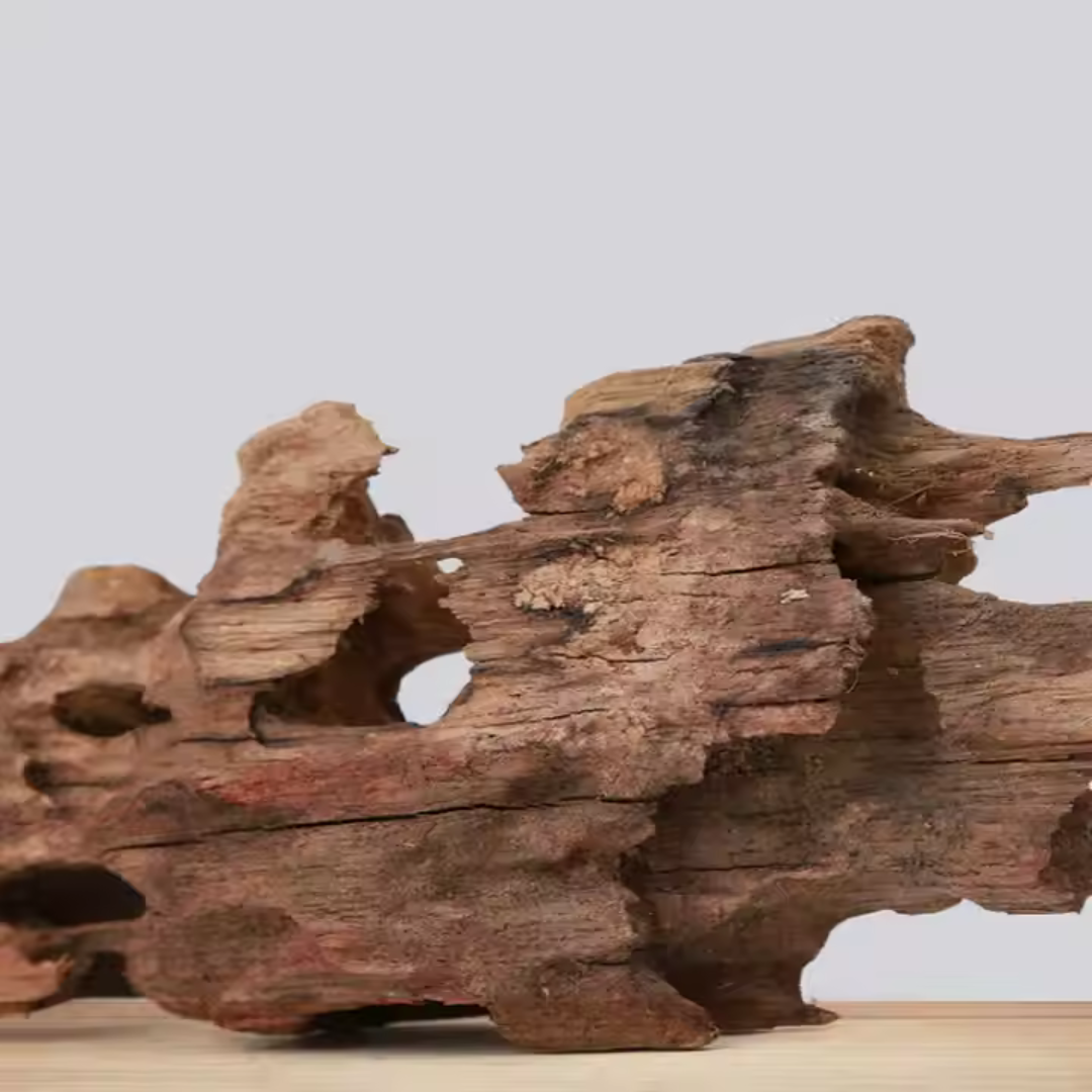 VAYINATO Aquarium Hardscape Shrimp Wood - 1 Pcs - ( 10-15 Cm )