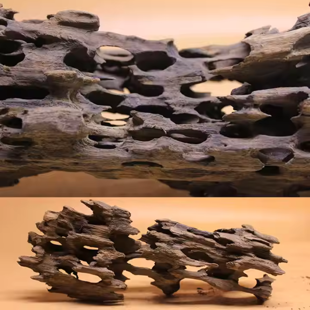 VAYINATO Aquarium Hardscape Shrimp Wood - 1 Pcs - ( 10-15 Cm )