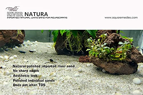 Aquatic Remedies River Natura Imported Natural White Sand for Aqua scaping