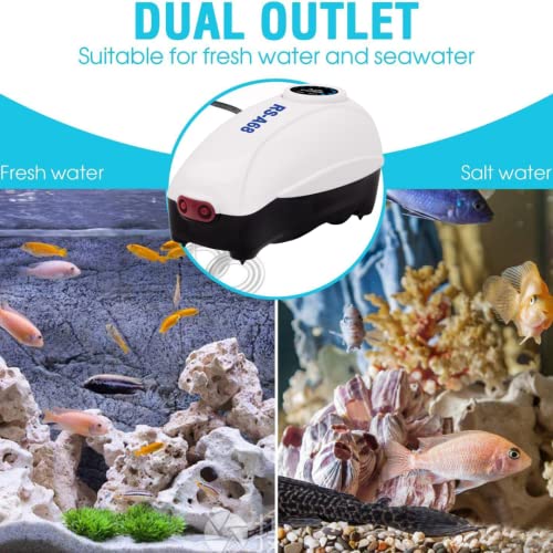 RS Electrical RS - 68 Super Silent Double Output Air Pump with Adjustable Flow Control Knob with Free 3 Meter Airtube and 2 Airstone| Power: 3W | Flow: 4L/Min