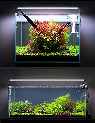 Petzlifeworld Aquarium Artificial Resin CRL Toy for Fish Tank Decoration (Blue)