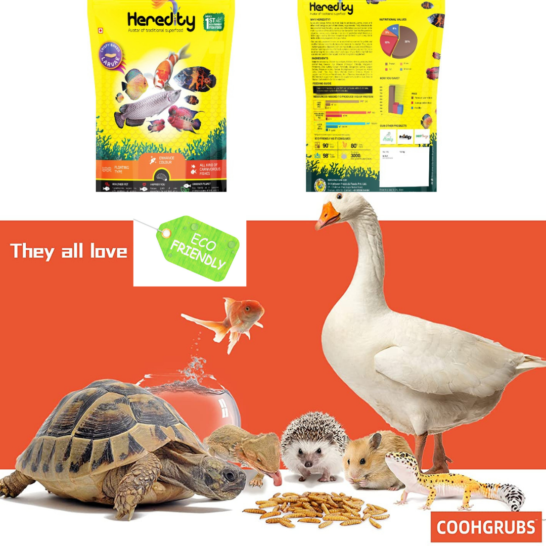 Heredity 100% Natural Delicious & Nutritious Crispy Baked Larvae Floating Fish Food, 100G