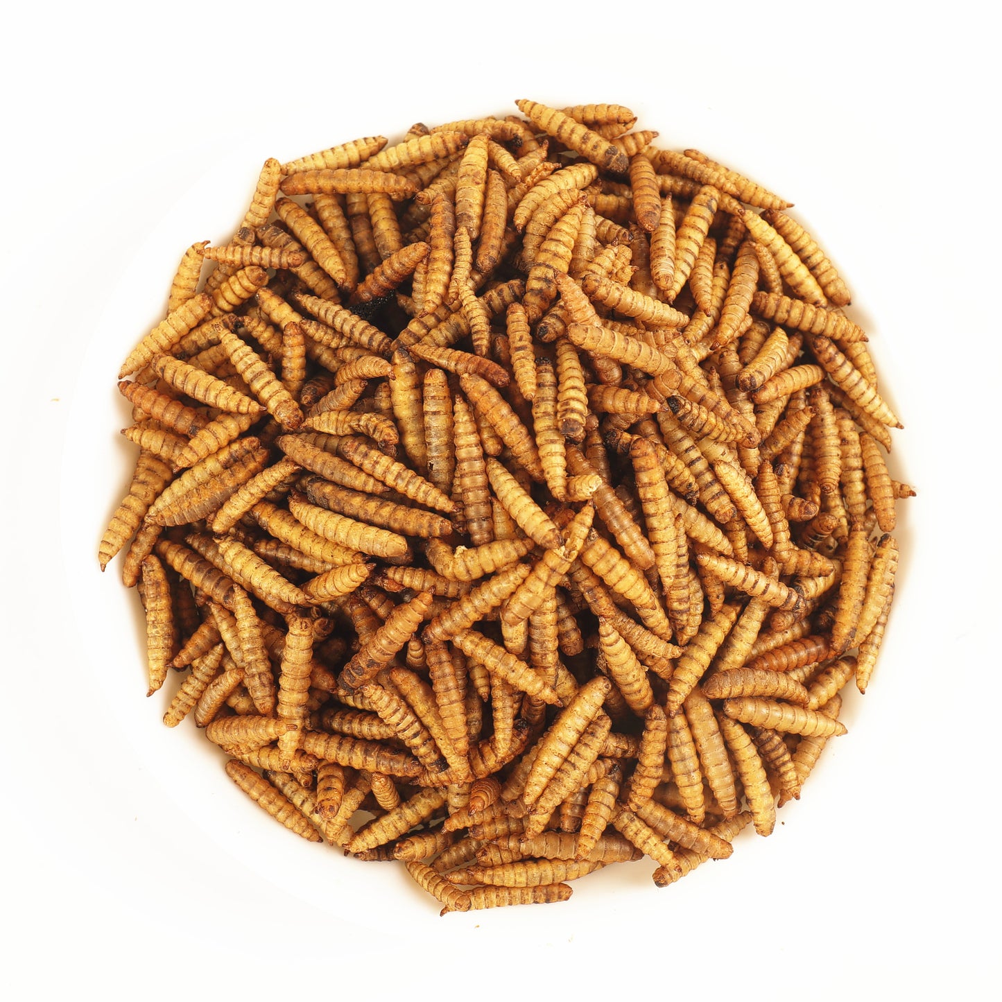 Heredity 100% Natural Delicious & Nutritious Crispy Baked Larvae Floating Fish Food, 100G