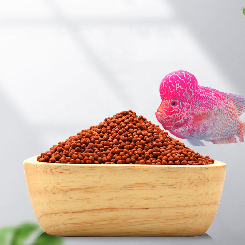 StarFarms Starry Head Flower Horn Fish Feed 100GM - PetzLifeWorld