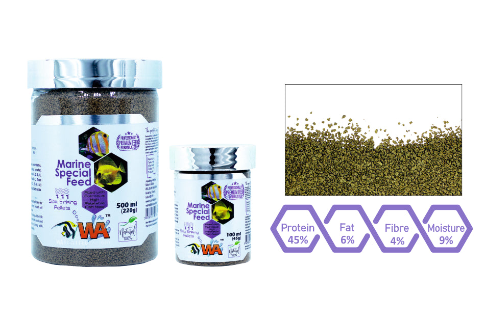 WA Marine Special Feed - PetzLifeWorld