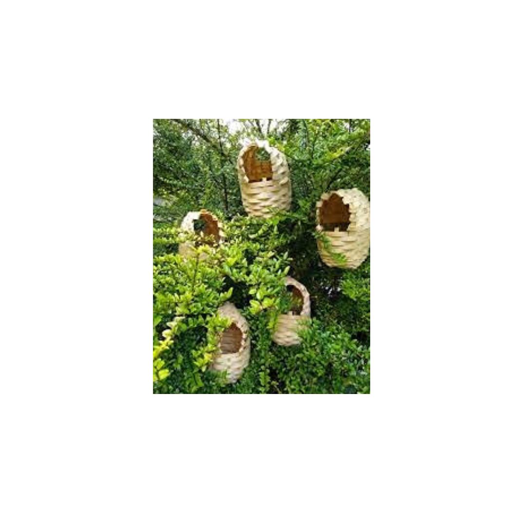 PetzLifeWorld Birds Natural Bamboo Nest Suitable for Small Birds