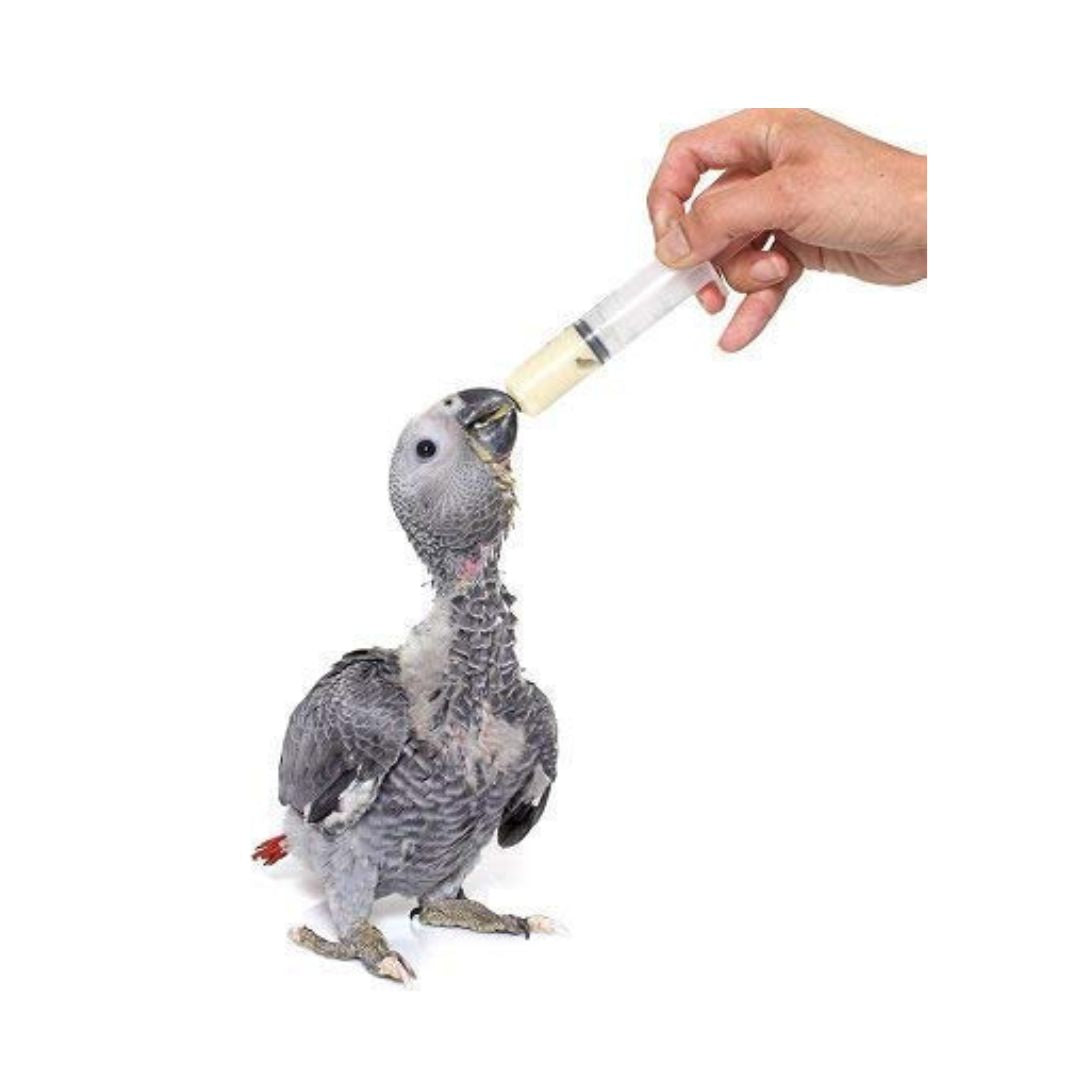 VAYINATO Petzlifeworld Hand Feeding Plastic Syringe with Curve Tip