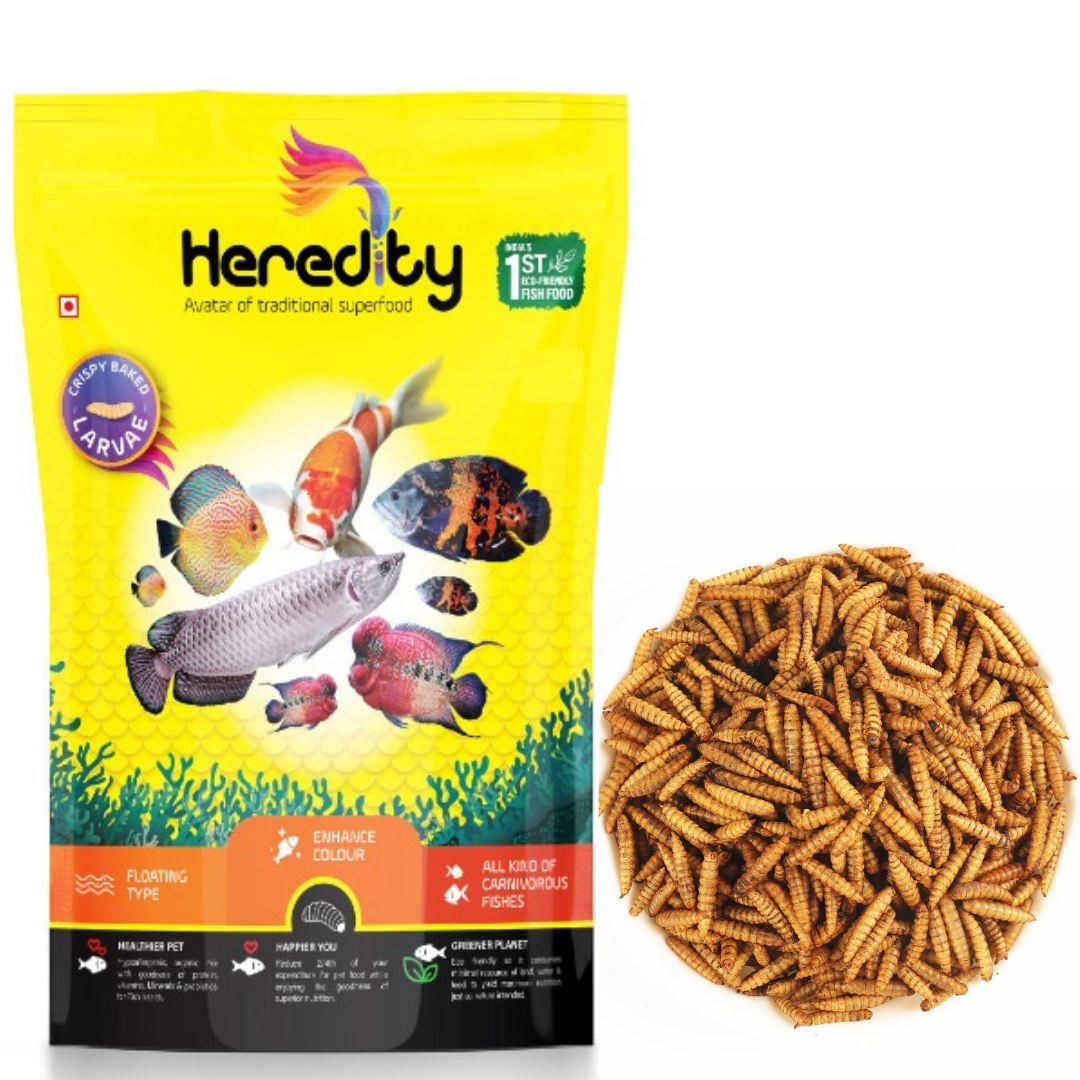 Heredity 100% Natural Delicious & Nutritious Crispy Baked Larvae Floating Fish Food, 100G
