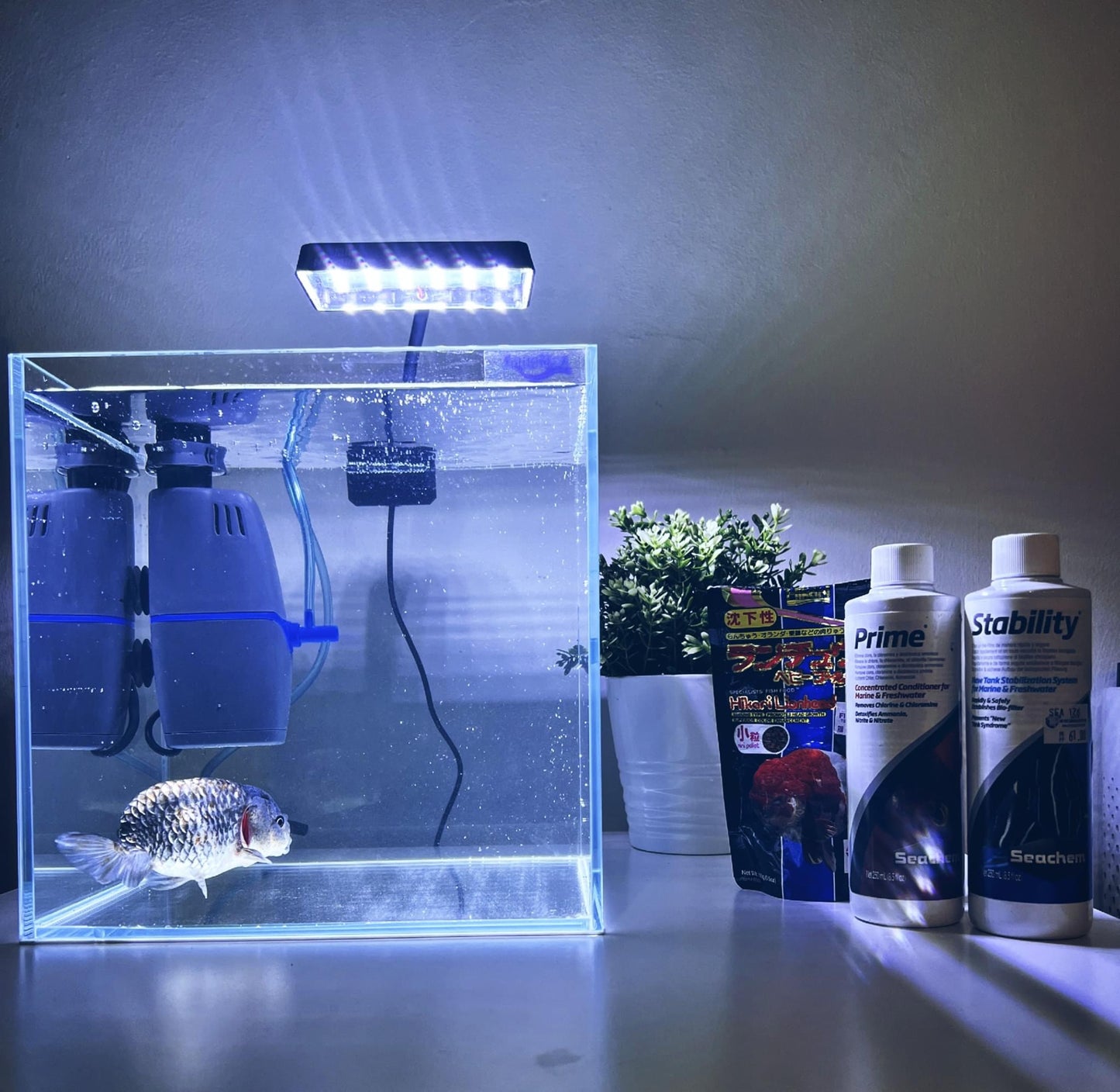 Neo Helios Flat Nano S3 Plus, Full Spectrum Planted Tank Aquarium Light