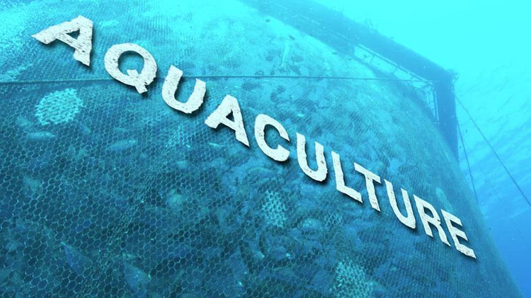 Aquaculture Supplies