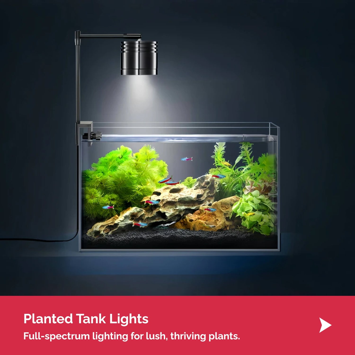 Planted Tank Light
