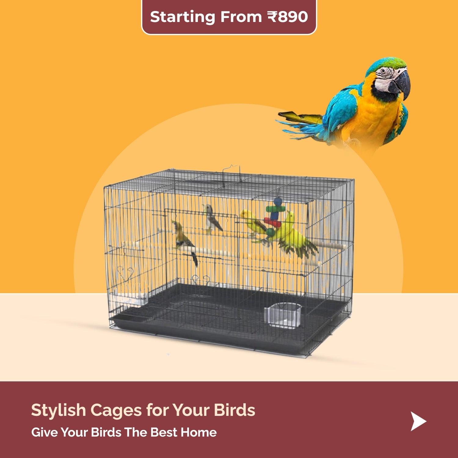 Birds Cage