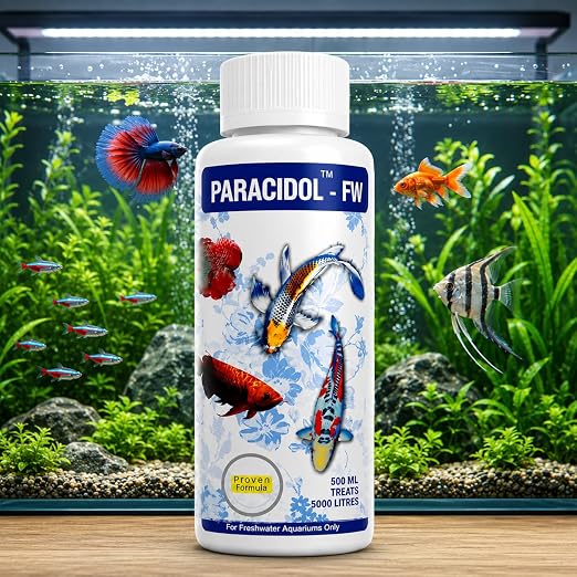 Petzlifeworld Aquatic remedies Paracidol  for Fresh Water Aquarium | Complete Fish Care | Healthy Fish, Healthy Aquarium