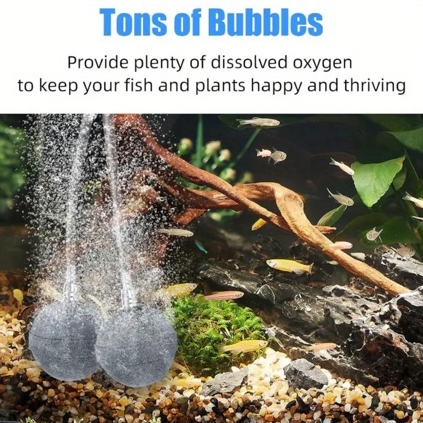 VAYINATO® 1 Inch Grey Ball Shaped Aquarium Air Stone Pack of 10 – Oxygen Diffuser | Bubbler Stones for Fish Tank, Hydroponics, Aeration by Petzlifeworld