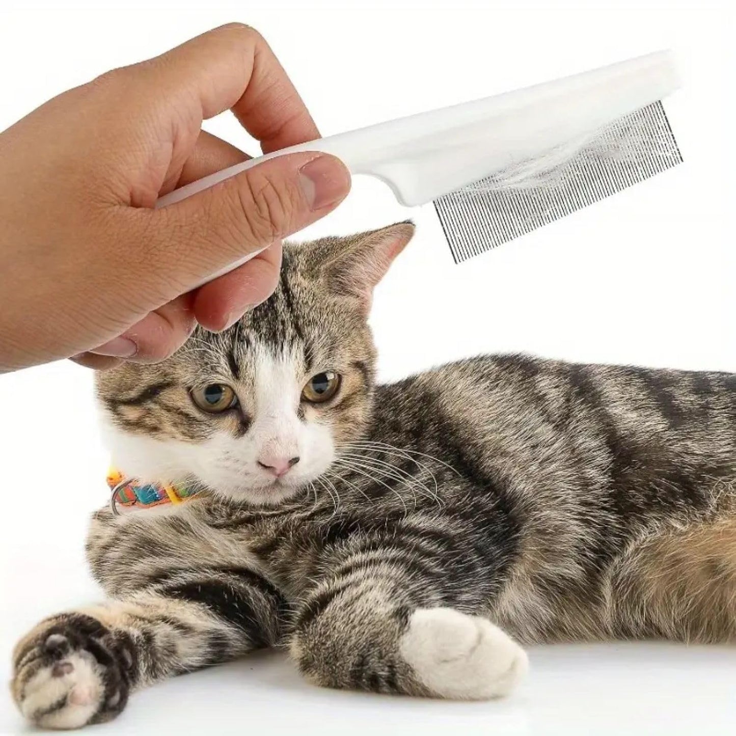 petzlifeworld  2 Pcs (Large & Small) Stainless Steel Flea Comb for Guinea Pig, Hamster, Rabbit – Pet Grooming Tool for Tangles, Fleas, Tear Stains | Durable & Gentle Hair Removal