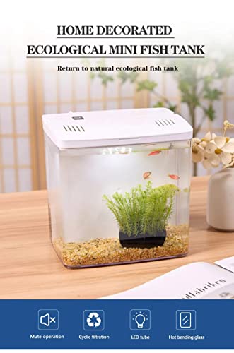 Bluepet Mini Square Shape Aquarium Small Desktop Home Decortive Fish Tank with USB Connector, Multi Mode LED Light, Ultra Silent Pump for Small Fishes (BL 04 ,Size : 20x14x20CM)
