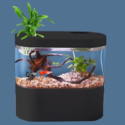 Petzlifeworld Desktop Mini Betta Fish Tank, 1.9L (21 * 11 * 19 CM), Mini Aquarium Starter Kit with USB Connector Hidden Filter, Plant Basket, LED Lighting & Button Control (Black)