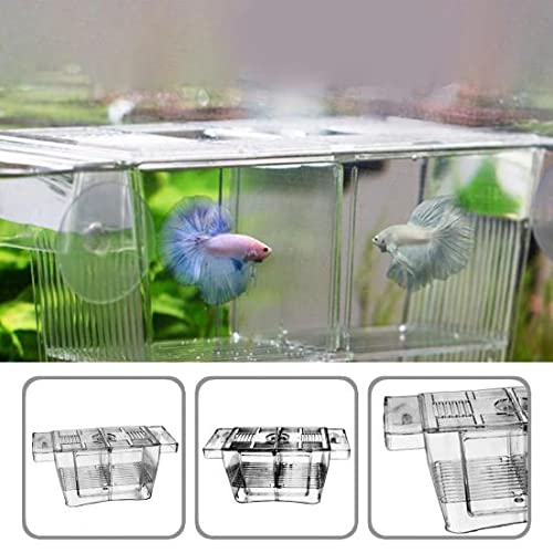 Boyu Fish Breeding Box Tank Hatchery Incubator Aquarium Isolation Box for Baby Shrimp Guppy
