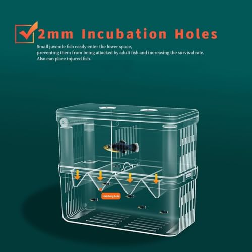 YEE Double Deck Isolation Breeding Box for Aquarium Fish Breeding Acrylic Aquarium Hatchery Incubator with Divider for Seperating Small Fish | Can Connected to Air Pump(YSL 503)