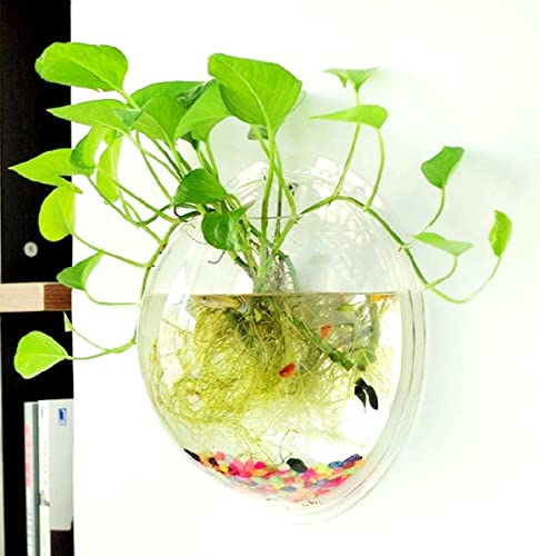 Petzlifeworld Acrylic White Wall Hanging Bowl (with Free Stones) for Fish and Indoor Water Plants Wall Decoration