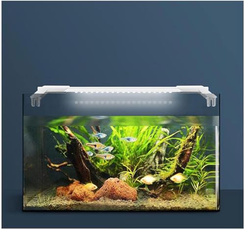 PetzLifeworld Ultra Slim and Thin White Frame Full Spectrum SL-60 | 17 Watts | Suitable for 55-65 Cm Tank | 2 Feet Aquarium Fish Tank LED Light