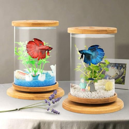 Fish Tank – PetzLifeWorld