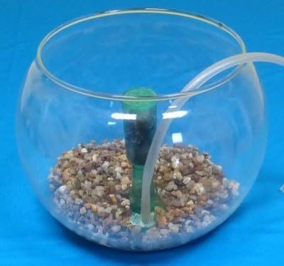 Air filter for fish bowl on sale